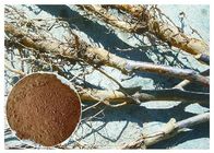 당뇨병 Phlorizin 사과 나무 뿌리를 대우하고십시오 &amp; 규정식 보충교재를 위한 추출물을 짖으십시오